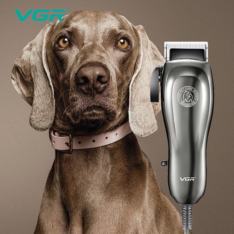 V-206 PET