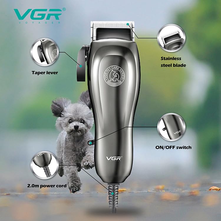 V-206 PET