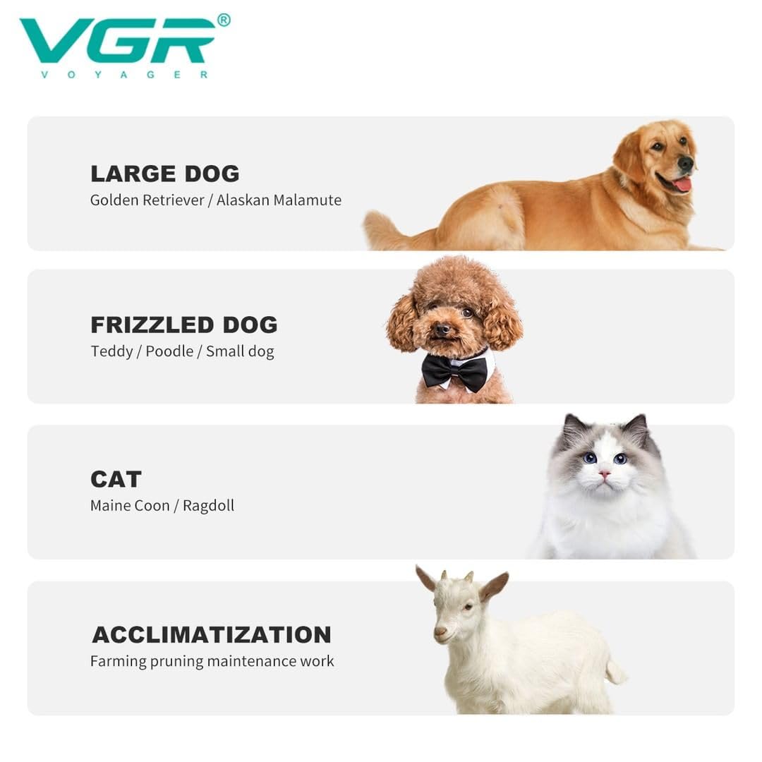 V-201 PET