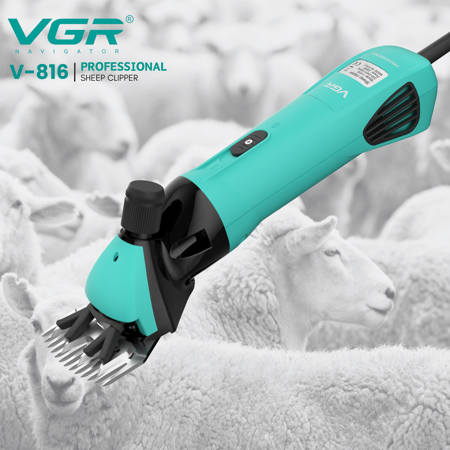 V-816